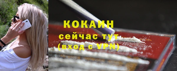 гидра Вяземский