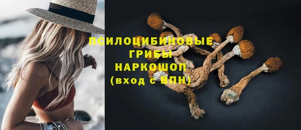 амф Вязники