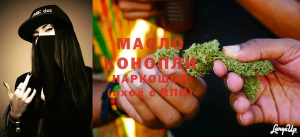 гидра Вяземский
