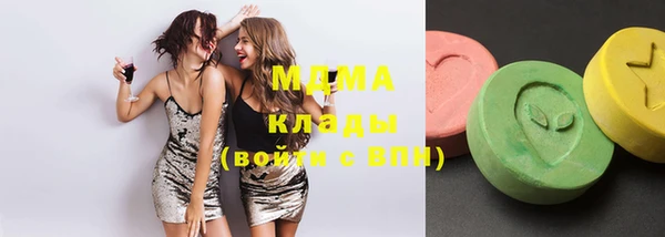 гидра Вяземский