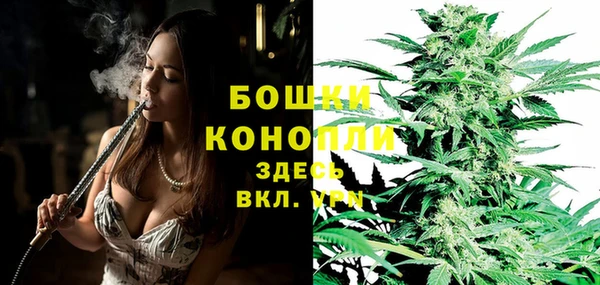 гидра Вяземский