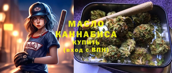 гидра Вяземский