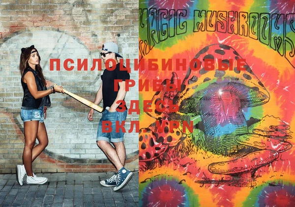 гидра Вяземский