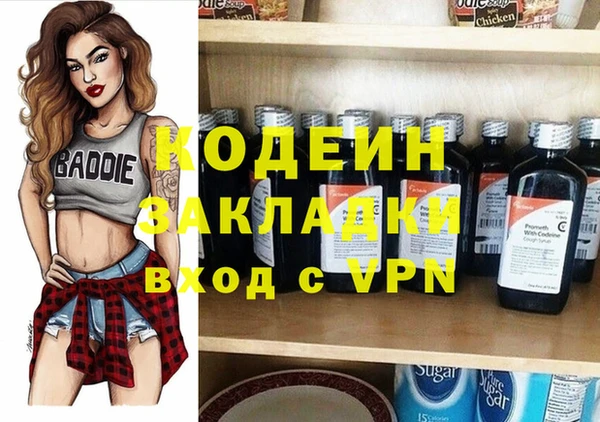 гидра Вяземский