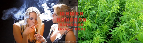 гидра Вяземский