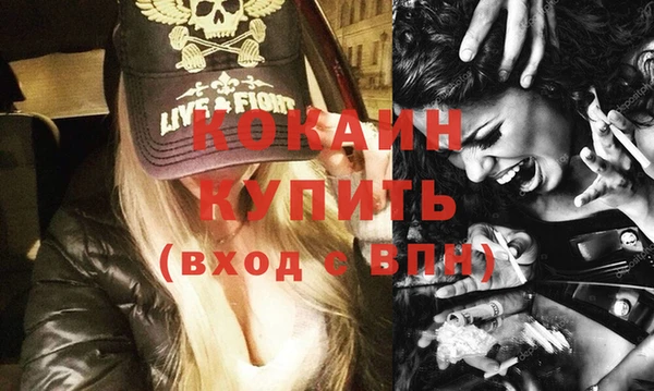 гидра Вяземский