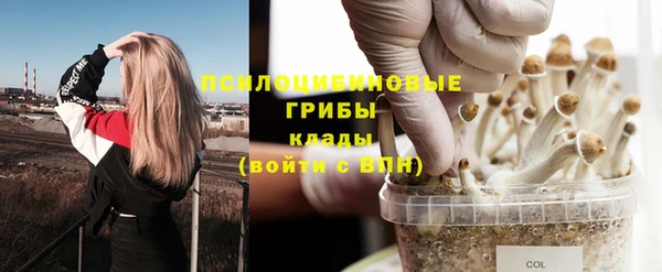 амф Вязники