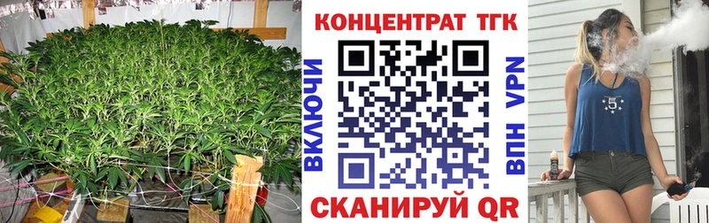 blacksprut ТОР  Элиста  Дистиллят ТГК THC oil 
