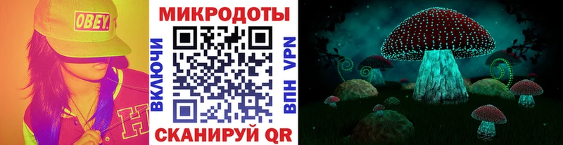 Галлюциногенные грибы мицелий  hydra как войти  Элиста  купить наркоту 